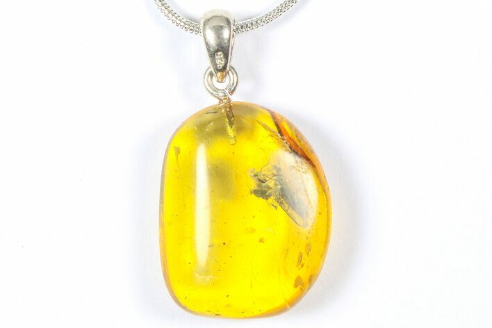 Polished Baltic Amber Pendant (Necklace) - Contains Fly! #368891